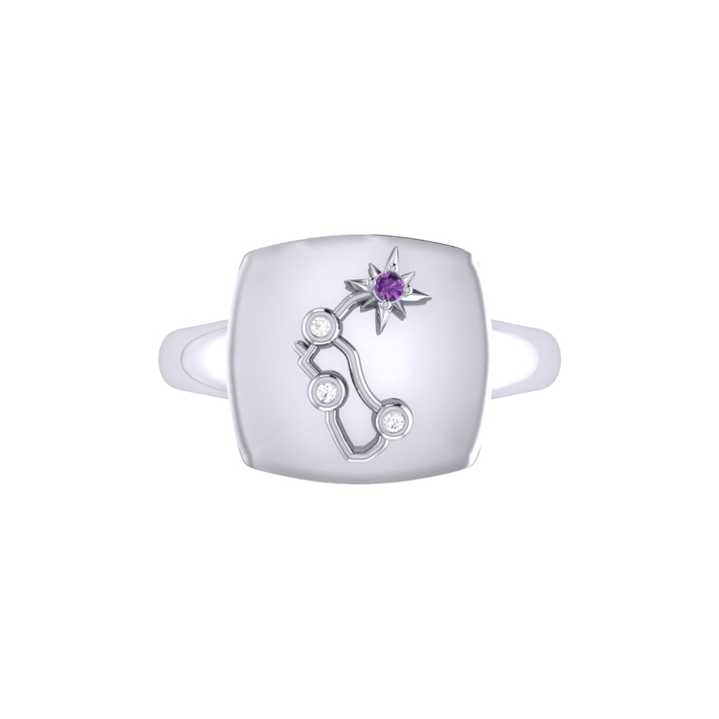 Aquarius Water-Bearer Amethyst & Diamond Constellation Signet Ring in