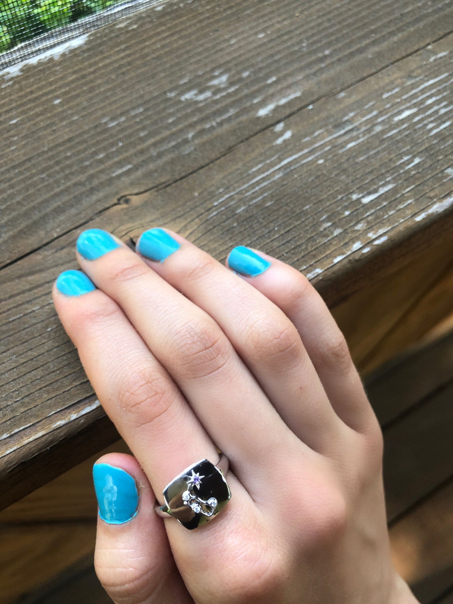 Aquarius Water-Bearer Amethyst & Diamond Constellation Signet Ring in