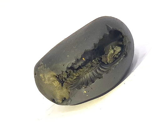 Shaligram Stone Lakshmi-Narsimha | Nepal Gandaki River Chakra Saligram
