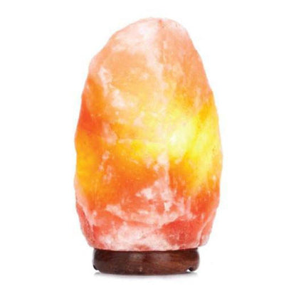 Himalayan Pink Salt Lamps + 12V 12W Switch - Natural Rock Shape