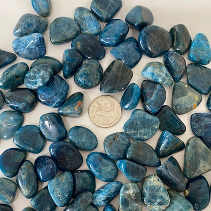 Blue Apatite Tumbled Stone