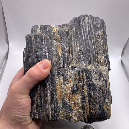 Black Tourmaline 9.7 LB Specimen
